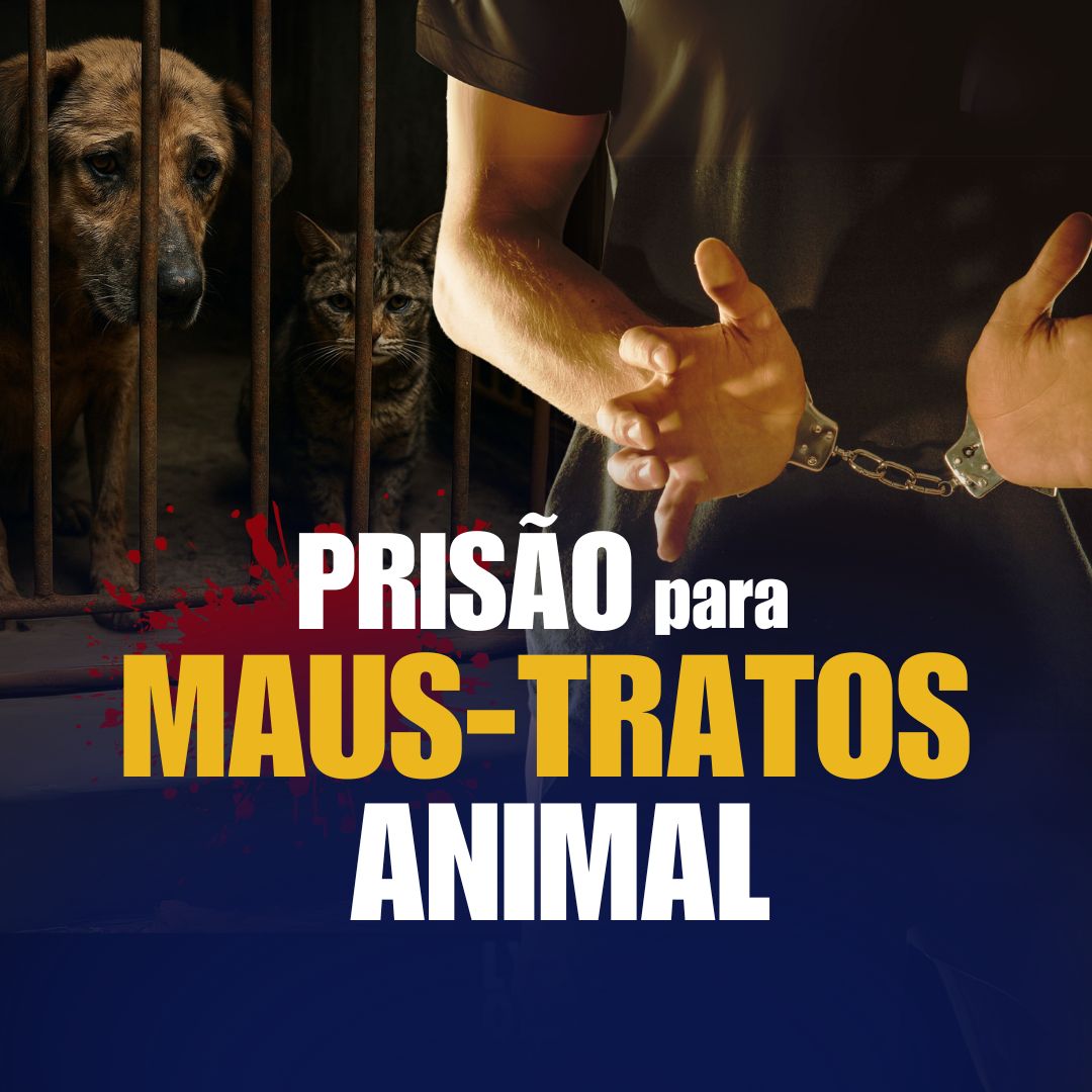 Imagem do WhatsApp de 2025-05-07 à(s) 14.47.40_63984ef5