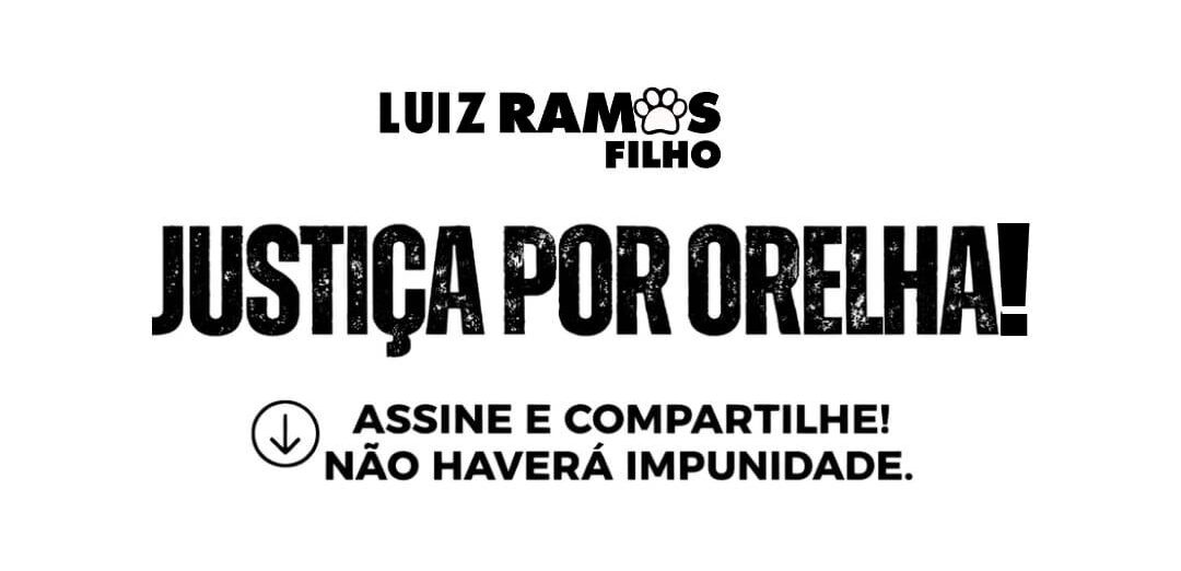 WhatsApp Image 2026-01-28 at 15.24.33 WhatsApp Image 2026 01 28 at 15 24 33